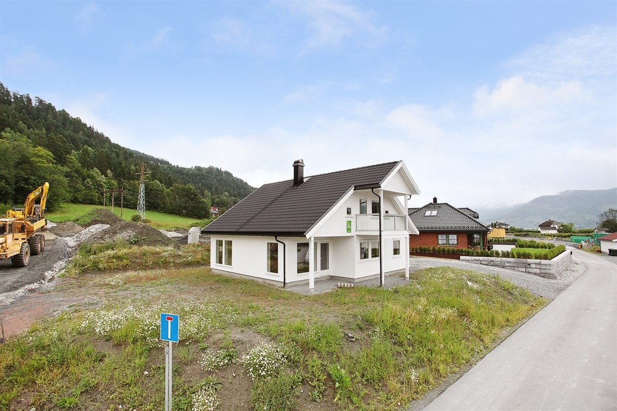 Mastfoto Galleribilde