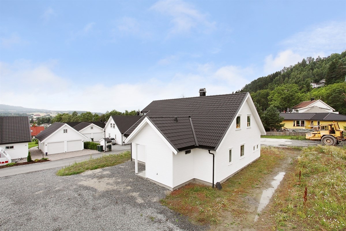 Mastfoto Galleribilde