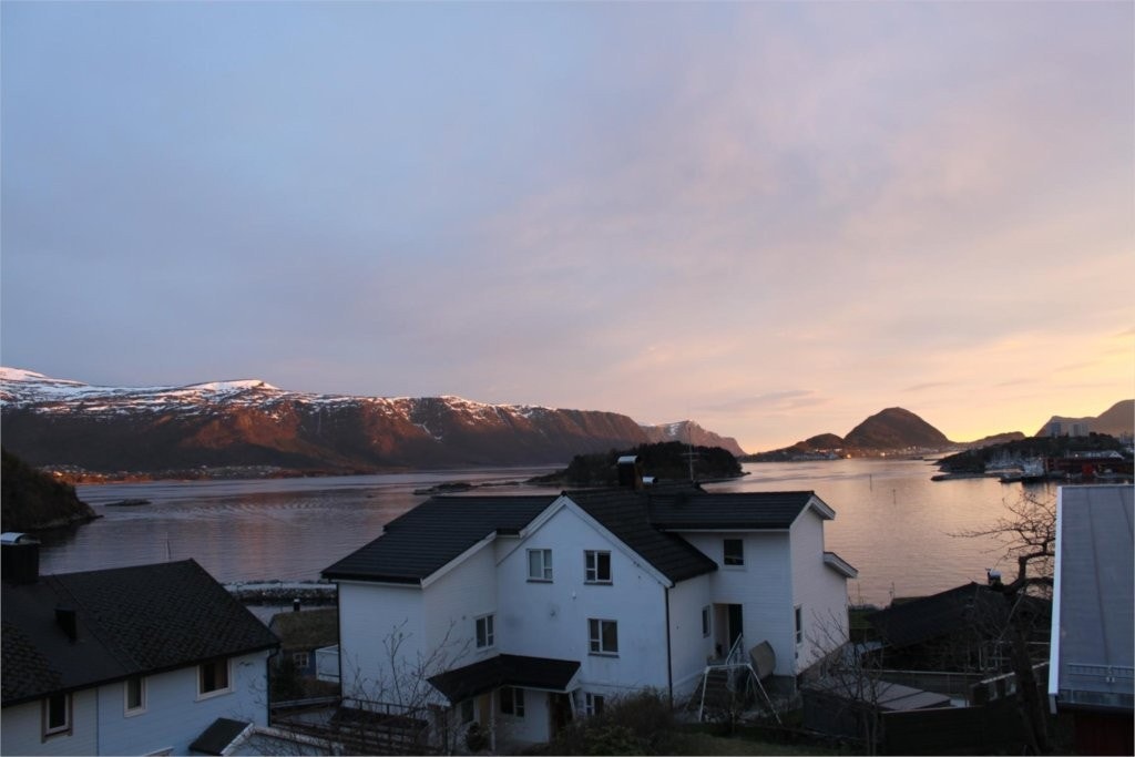 Panoramautsikt Galleribilde