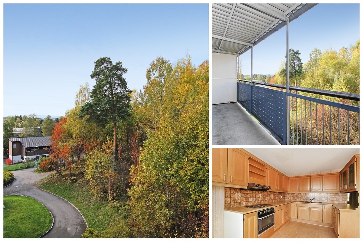 Collage Galleribilde