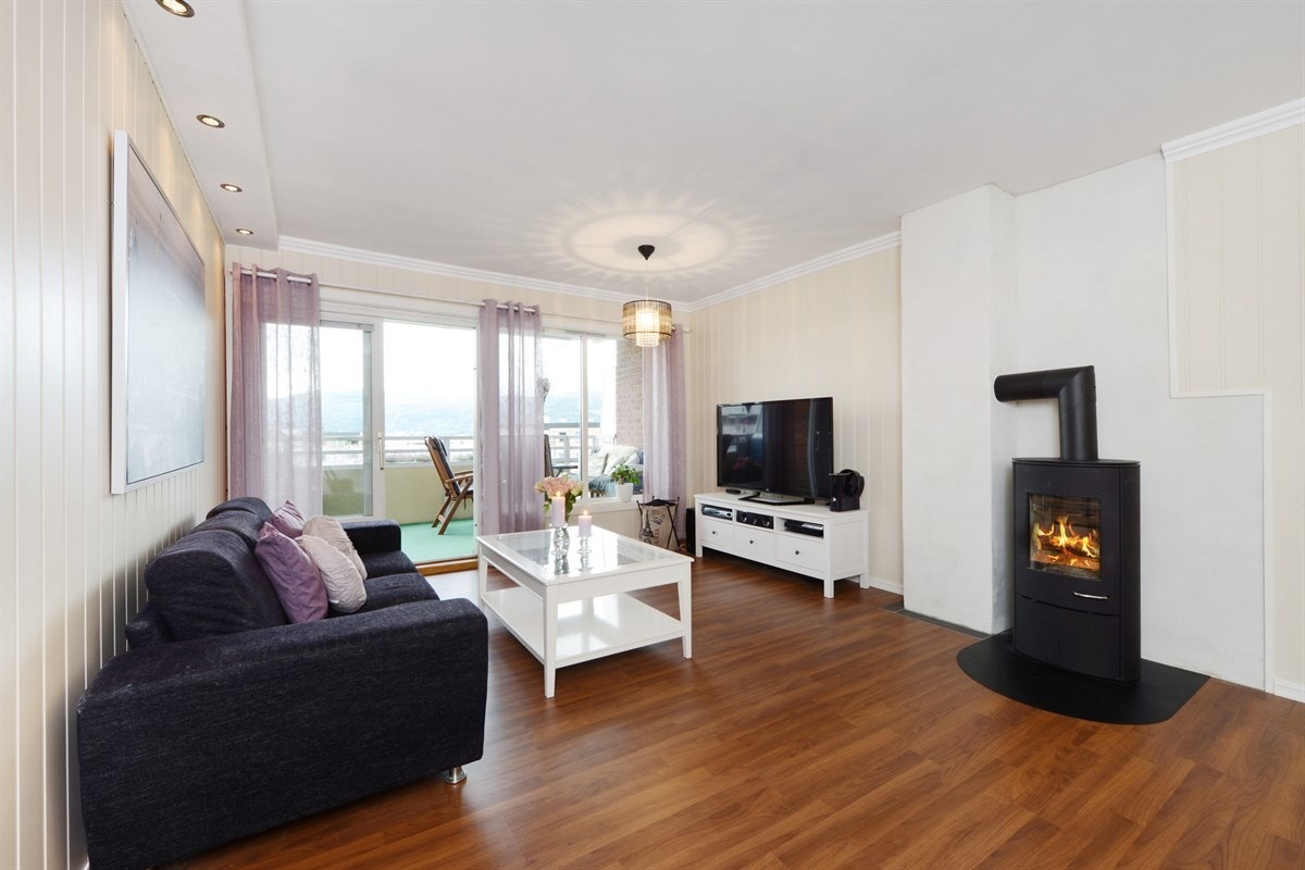 Stue med koselig peisovn og utgang til terrassen med flott utsyn. Galleribilde