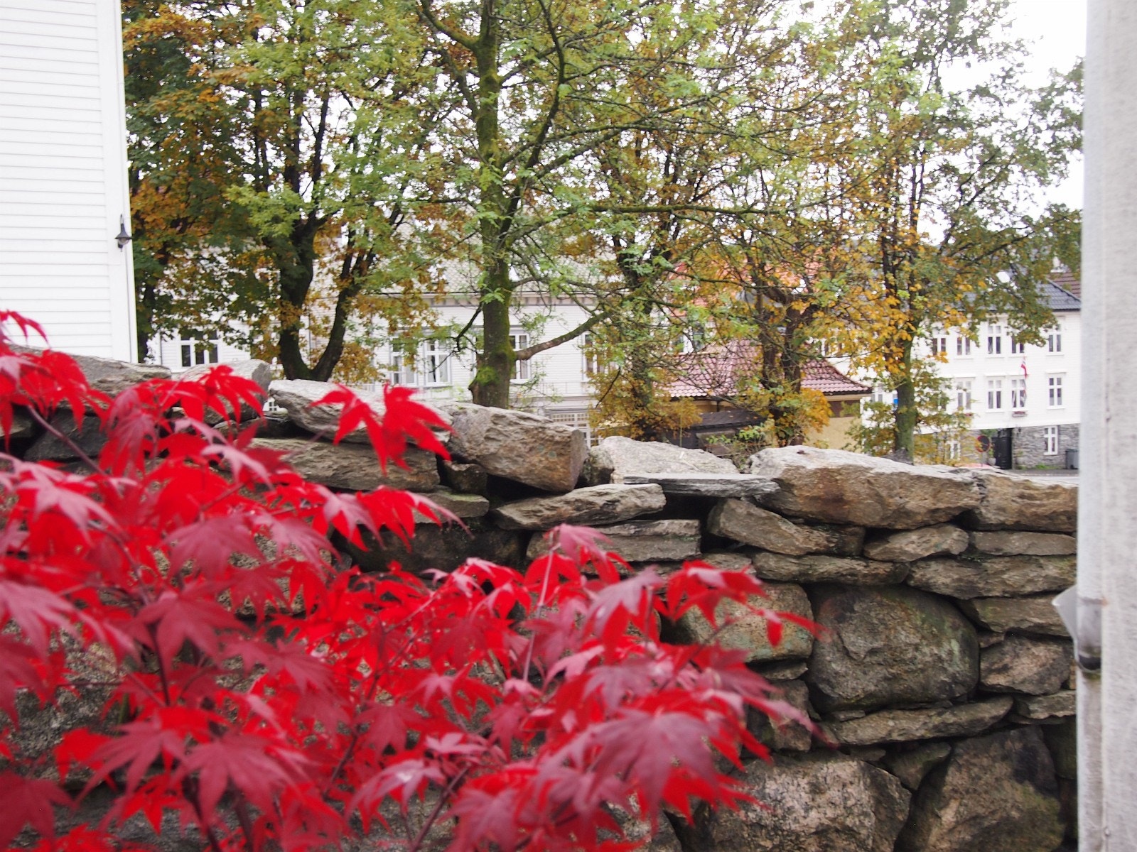 Mellom husene Galleribilde