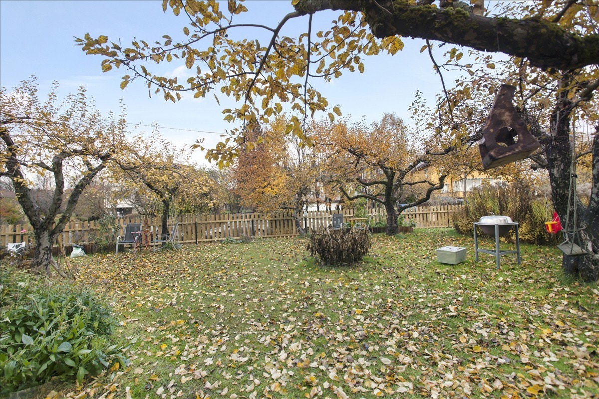 Fantastisk tomt/utearealer! Galleribilde