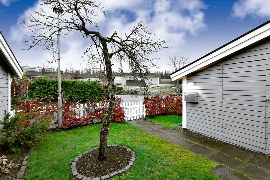 Forhage Galleribilde