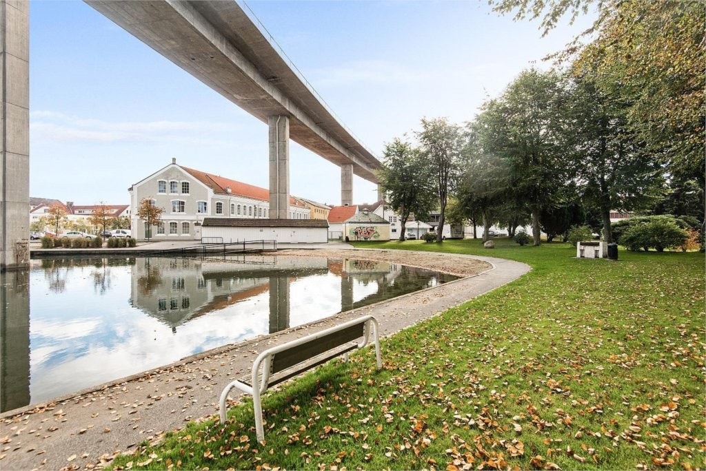 Badedammen som nærmeste nabo Galleribilde