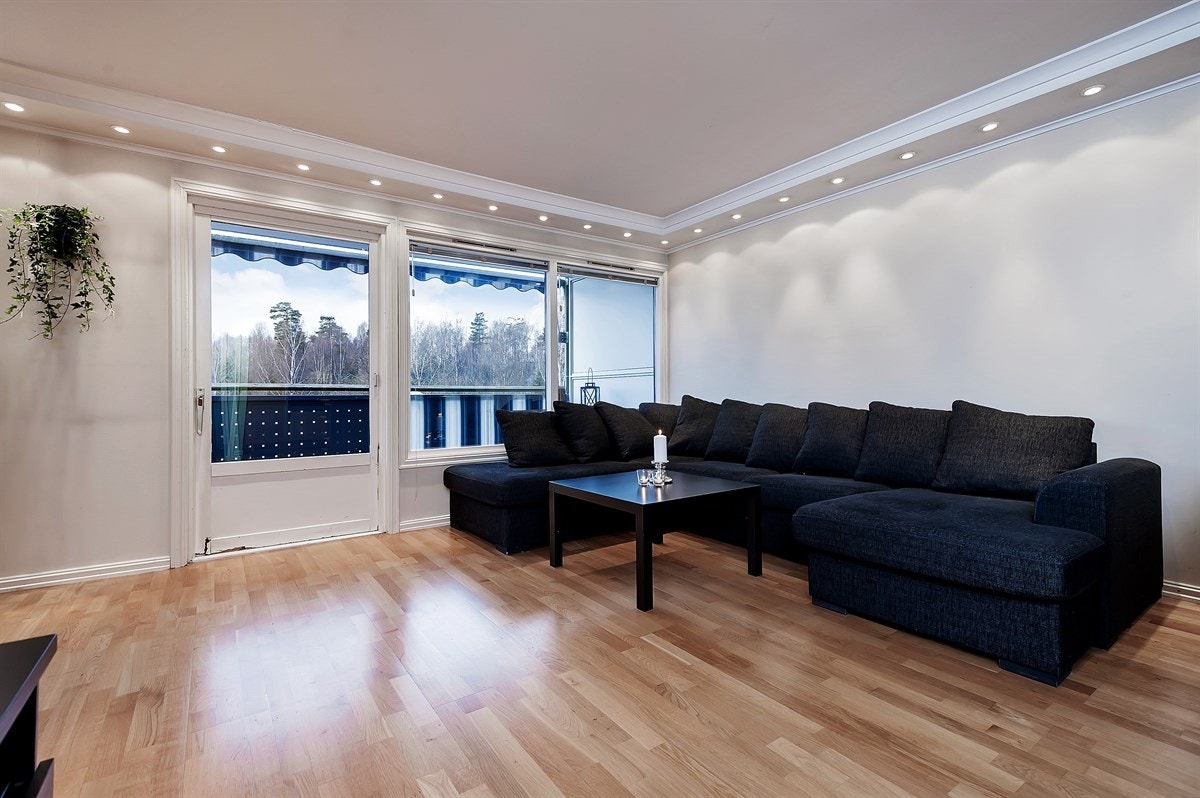 Stue med utgang balkong Galleribilde