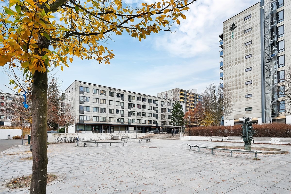 Nærmiljø med butikker og friareal. Galleribilde