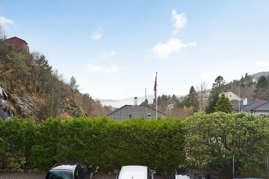 Sjøutsikt. Galleribilde