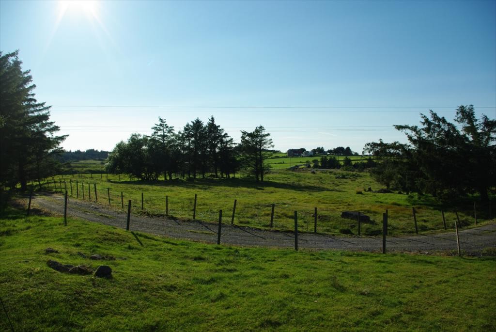 Utsikt (2) Galleribilde