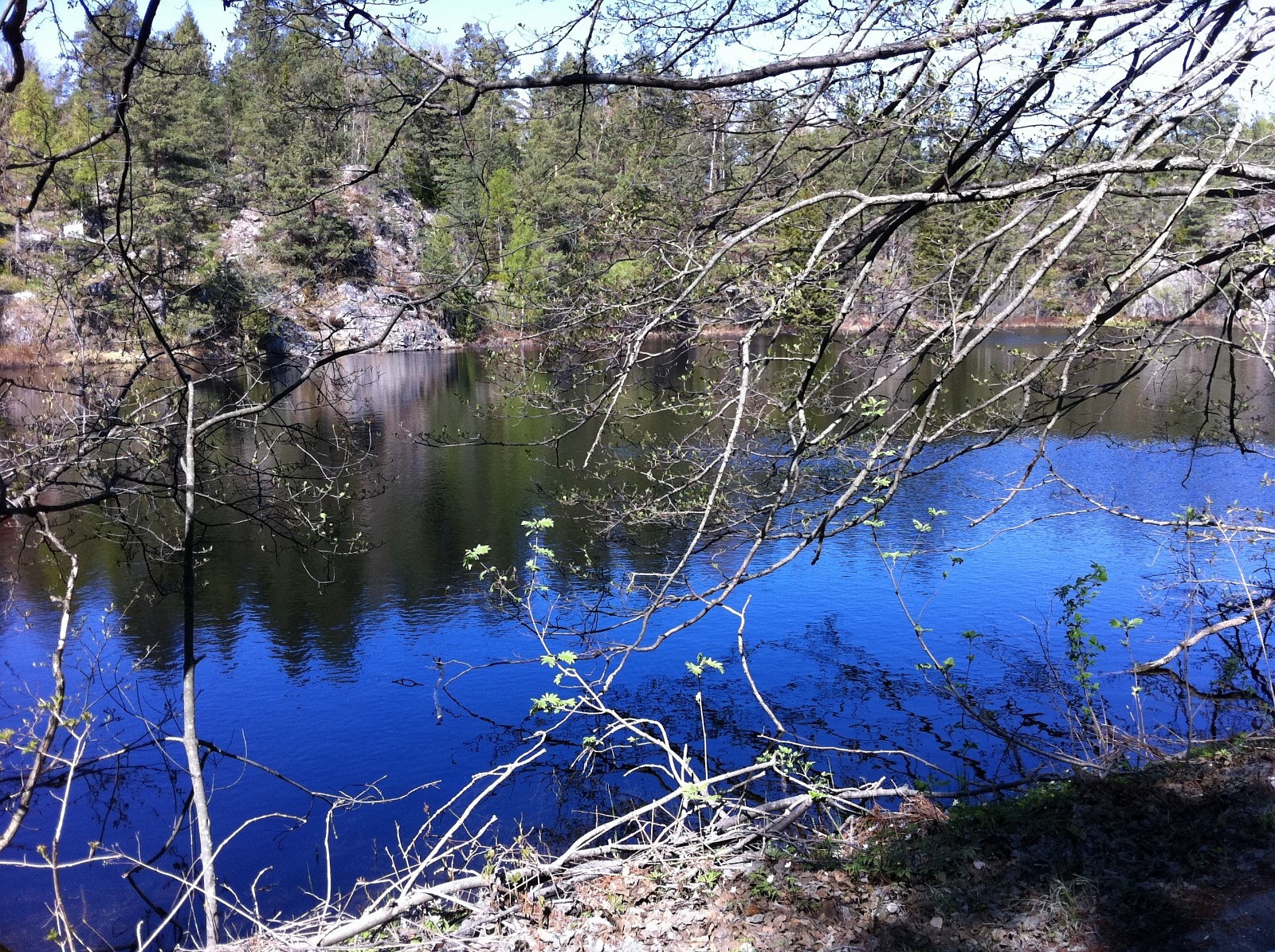 et nydelig lite vann grenser til feltet Galleribilde