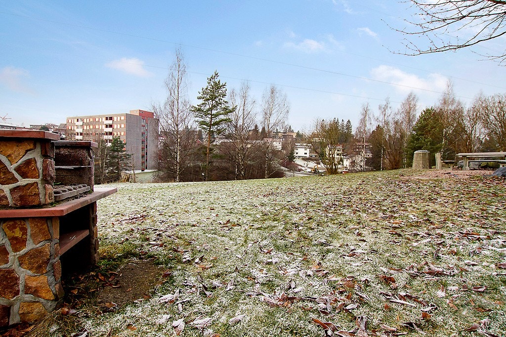 Område Galleribilde