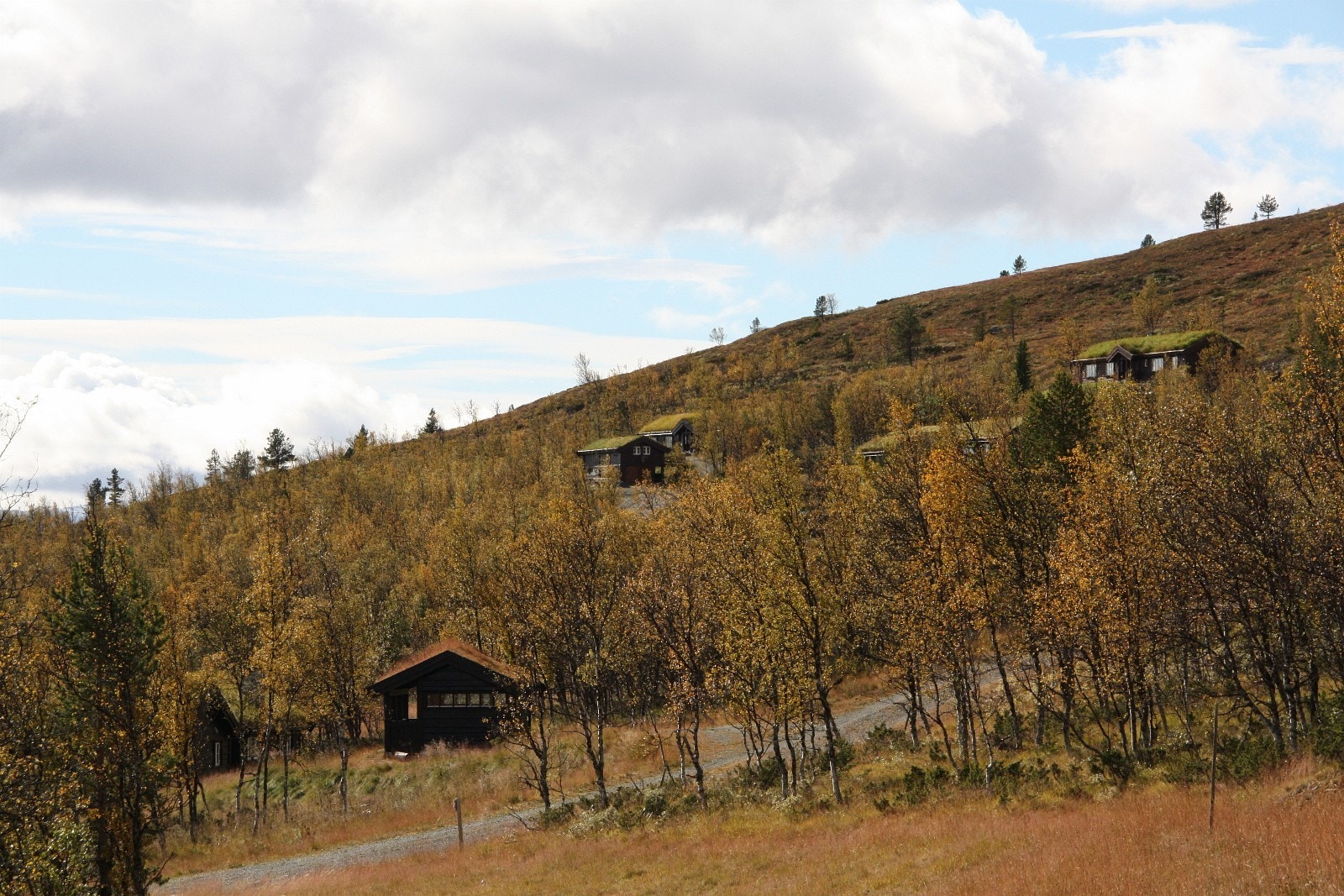 Skardfjellgrenda er et stilrent hytteområde, som er en del av prisbelønnede Skåbu Fjellgrend. Foto: Anne Mari Lo Galleribilde