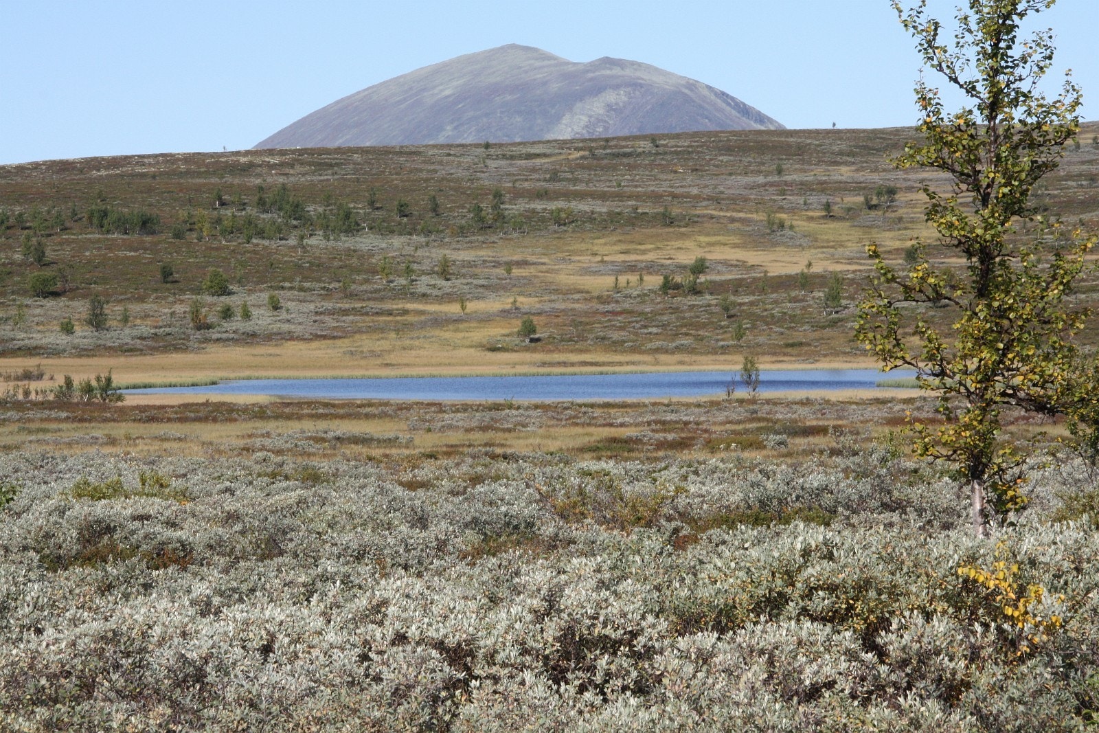 Kutjern mot Gråhø og Heidalsmuen. I sommerhalvåret går det direkte vei fra Skåbu til Glitterheim og Sjoa. Foto: Anne Mari Lo Galleribilde