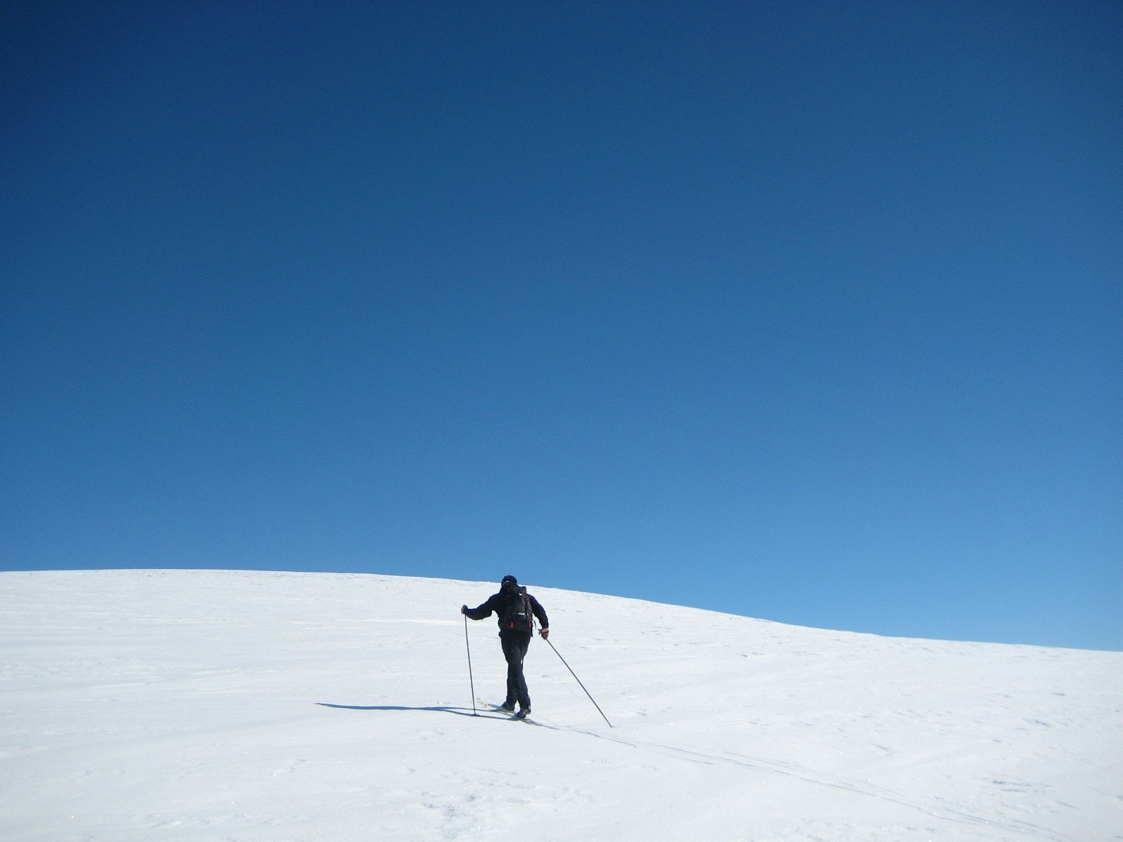 Ta gjerne en avstikker fra de oppkjørte løypene. I Skåbufjellet er det også fine forhold for randonee-ski. Foto: Ida Aasne Sande Galleribilde
