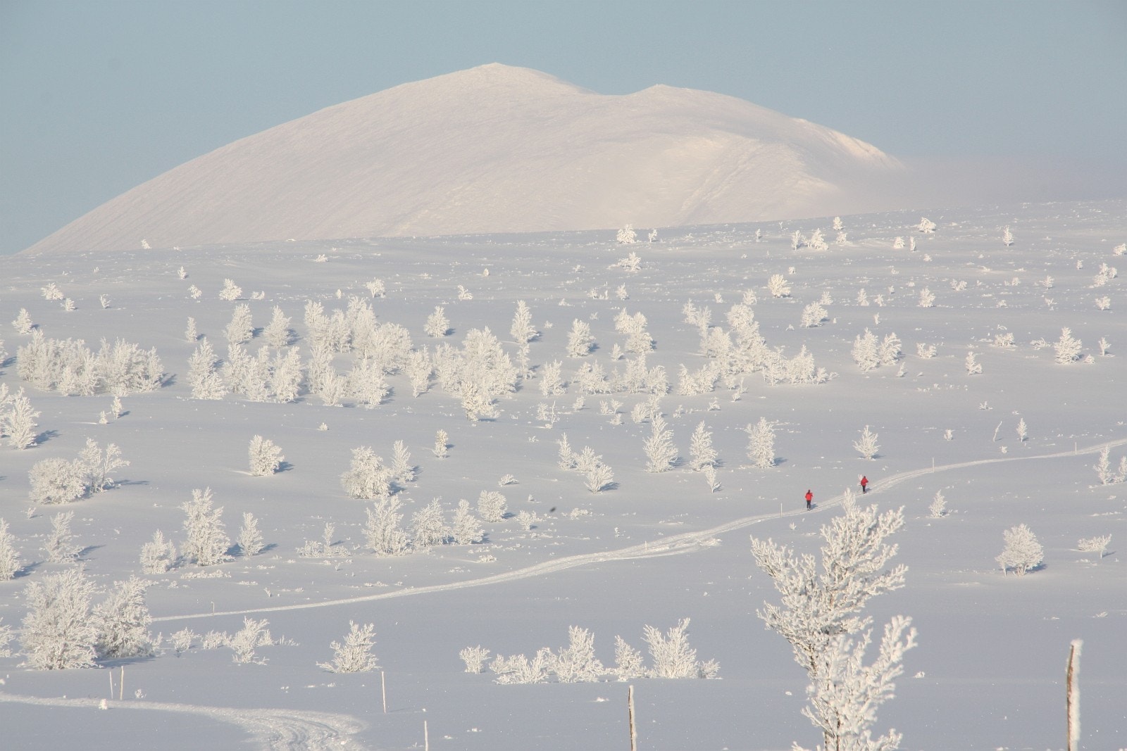 To skiløpere på vei til toppen av Gråhø i slutten av januar. Bak ruver Heidalsmuen. Foto: Anne Mari Lo Galleribilde