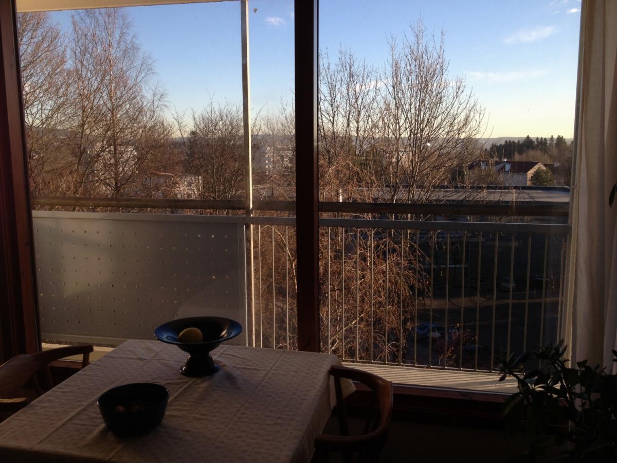 Utsikt fra stue Galleribilde