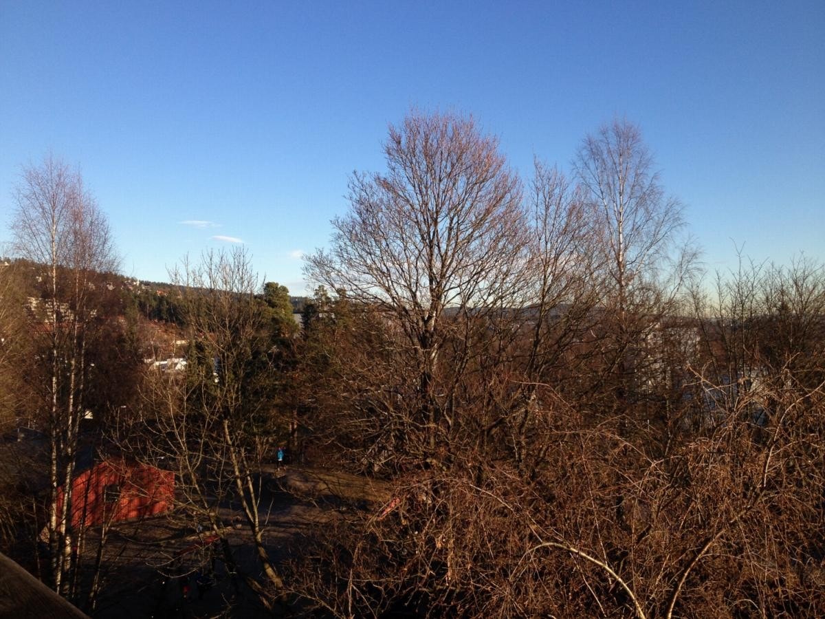 Utsikt mot Holmenkollen Galleribilde