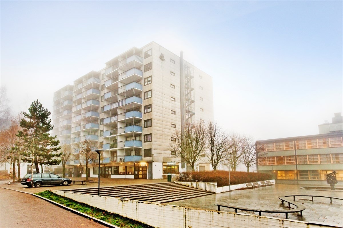 Hovedbilde Galleribilde