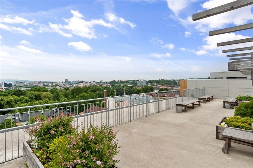 Takterasse, sommer 2012 Galleribilde