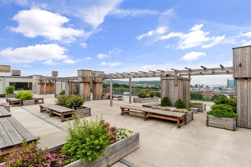 Takterasse, sommer 2012 Galleribilde