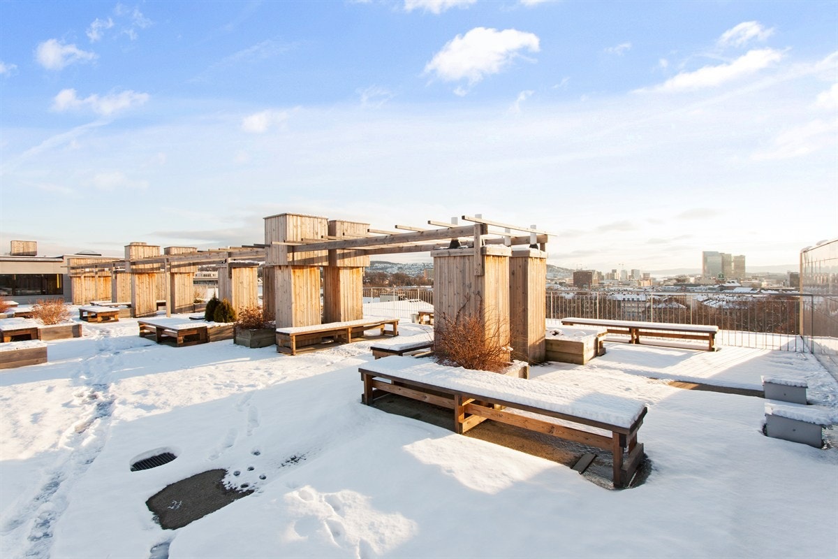 Takterrasse om vinteren Galleribilde