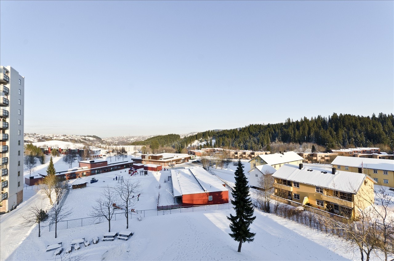 Flott utsikt Galleribilde