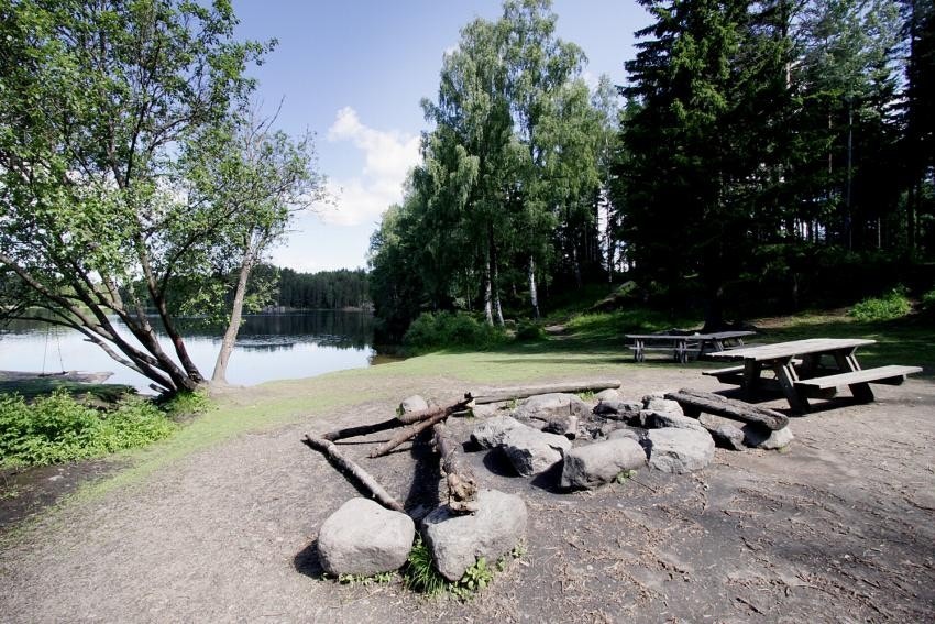 Sommeridyll i Østmarka. Galleribilde