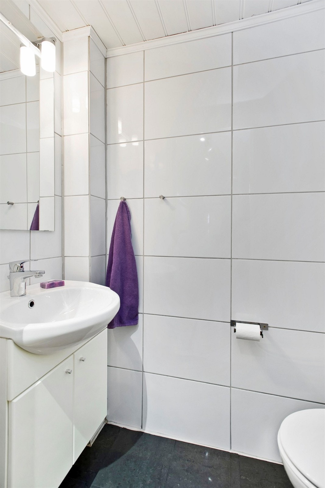 Separat toalett med servant med underskap. Galleribilde