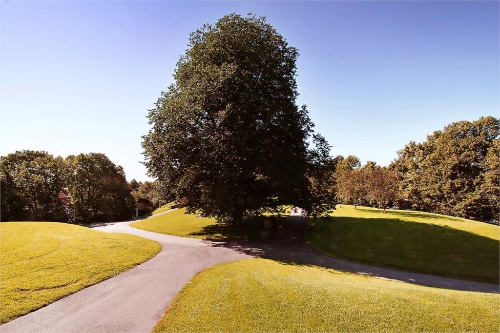 Stensparken Galleribilde