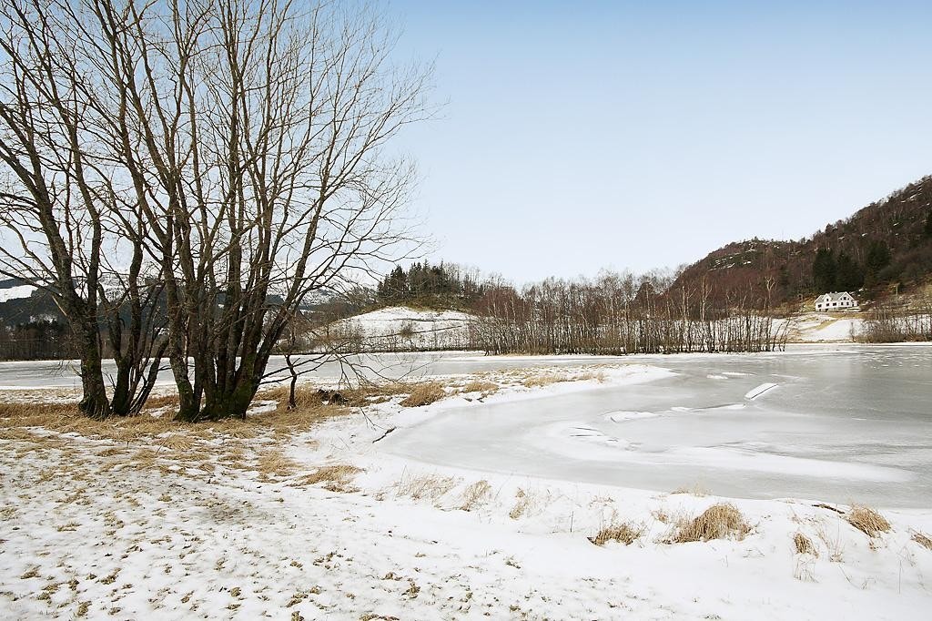 Områdebilde Galleribilde