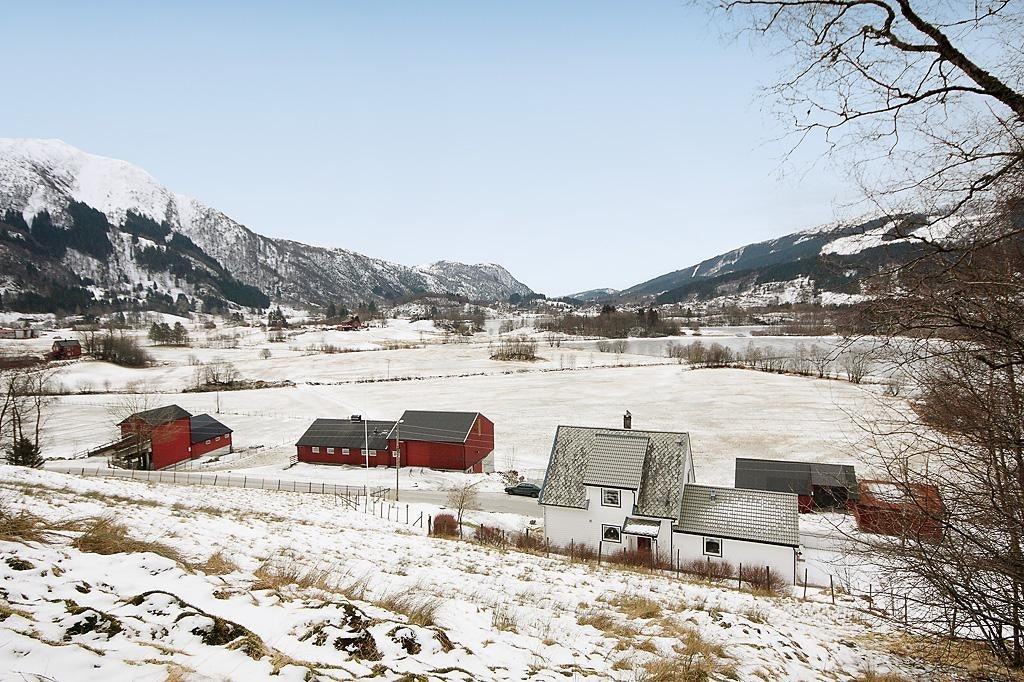 Områdebilde Galleribilde