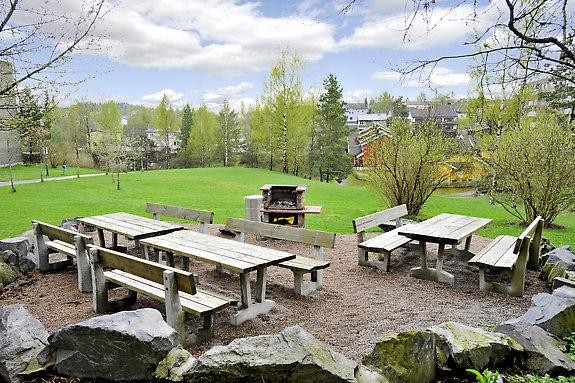 Grillplass Galleribilde