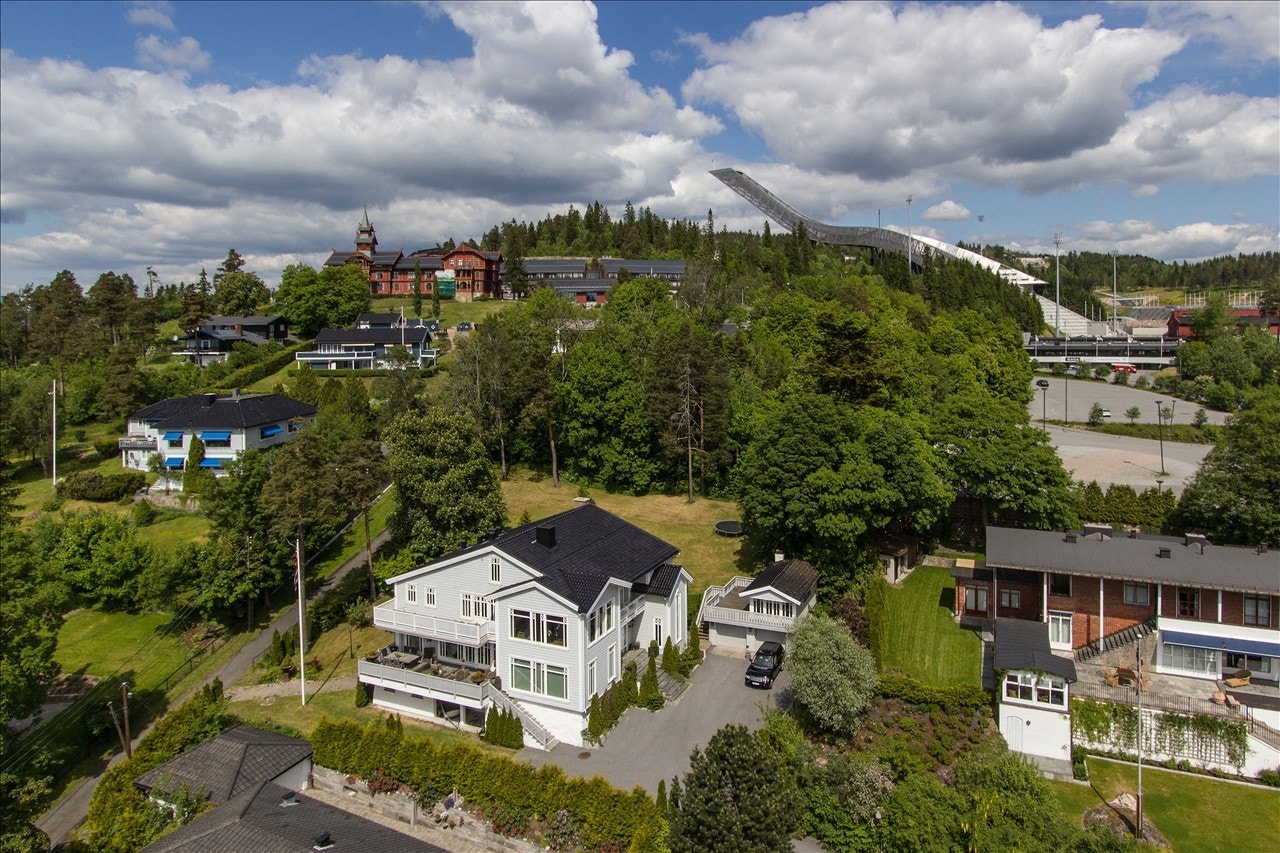 Tomten ovenfra Galleribilde