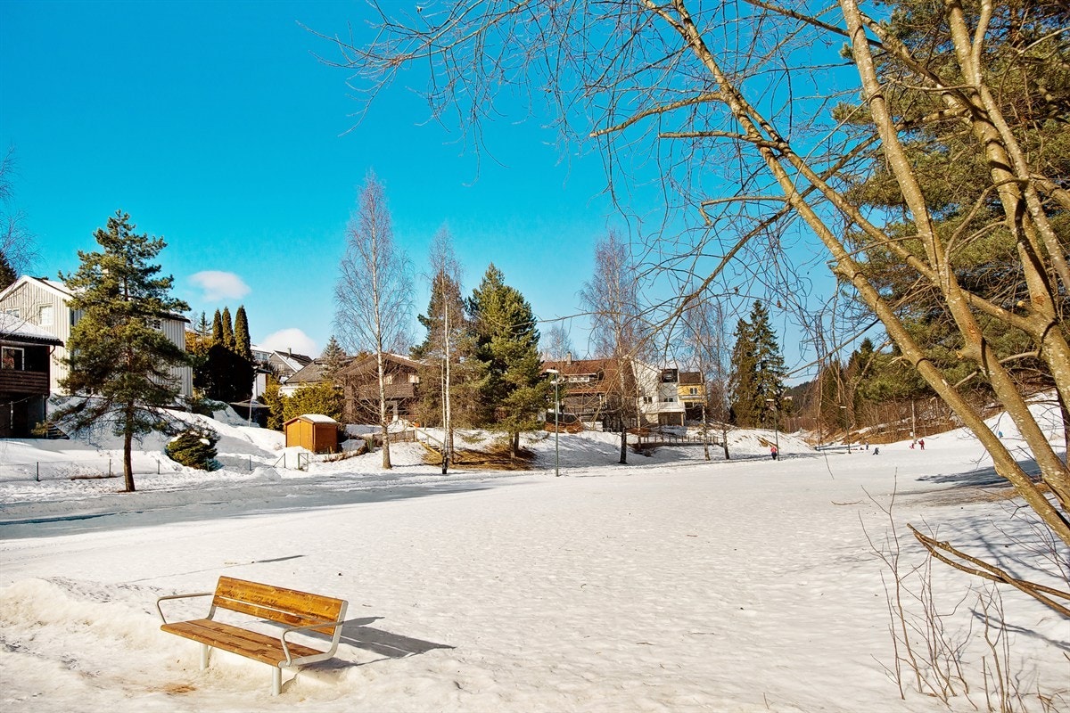 Nærområde Galleribilde