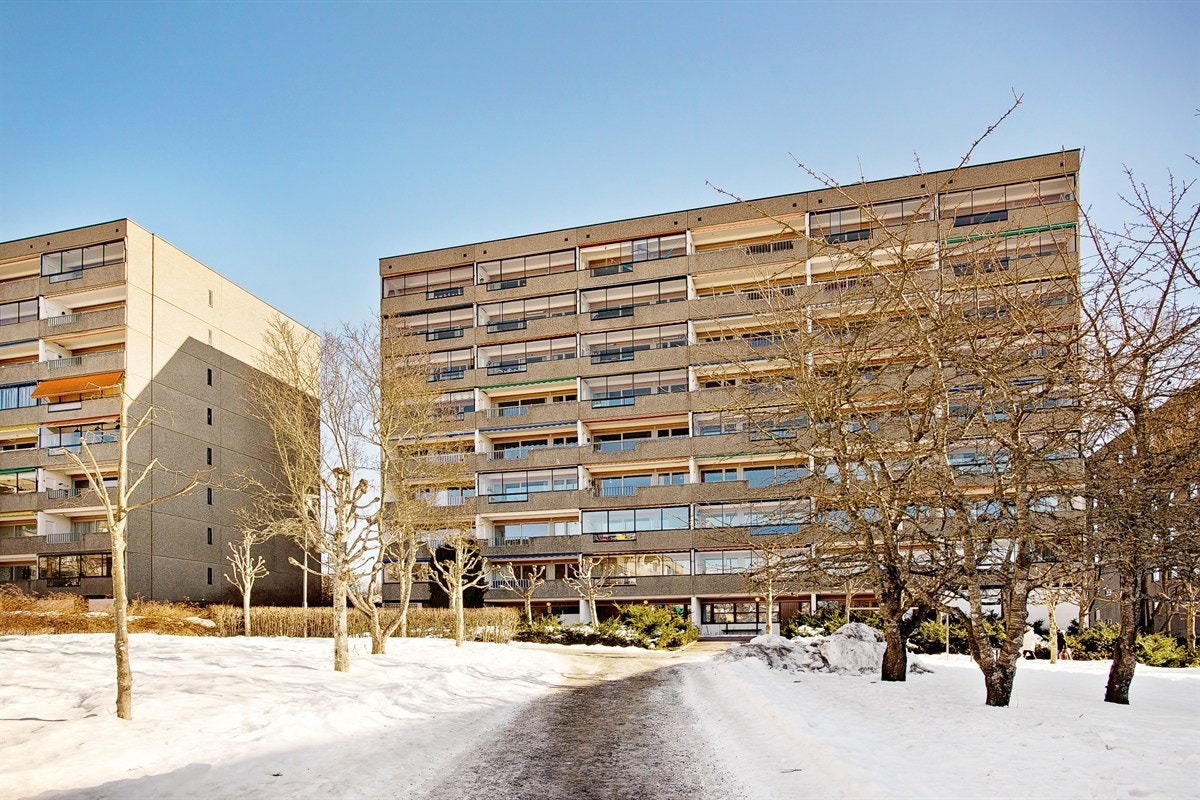 Hovedbilde Galleribilde