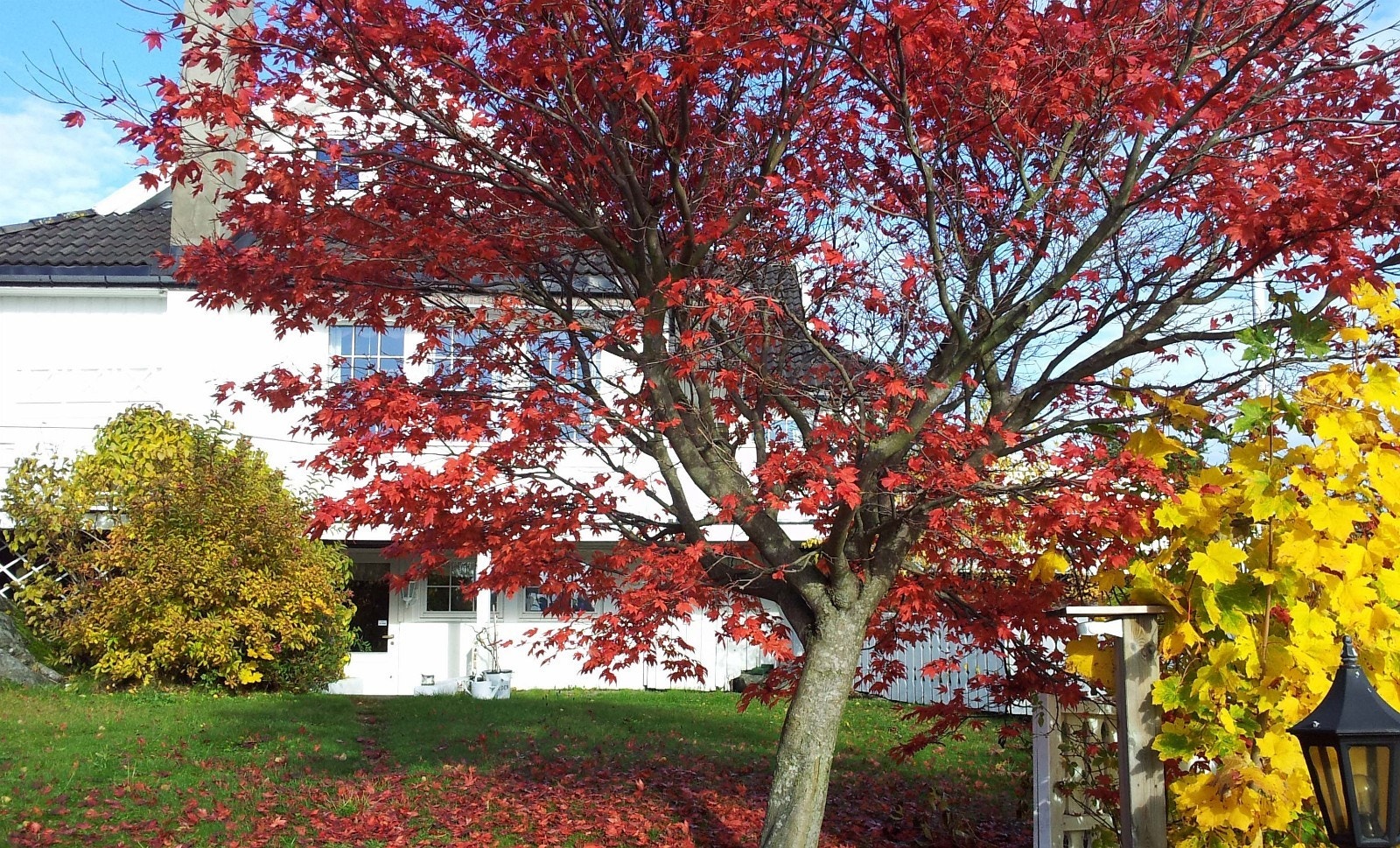 Inngangen til Hageleiligheten Galleribilde