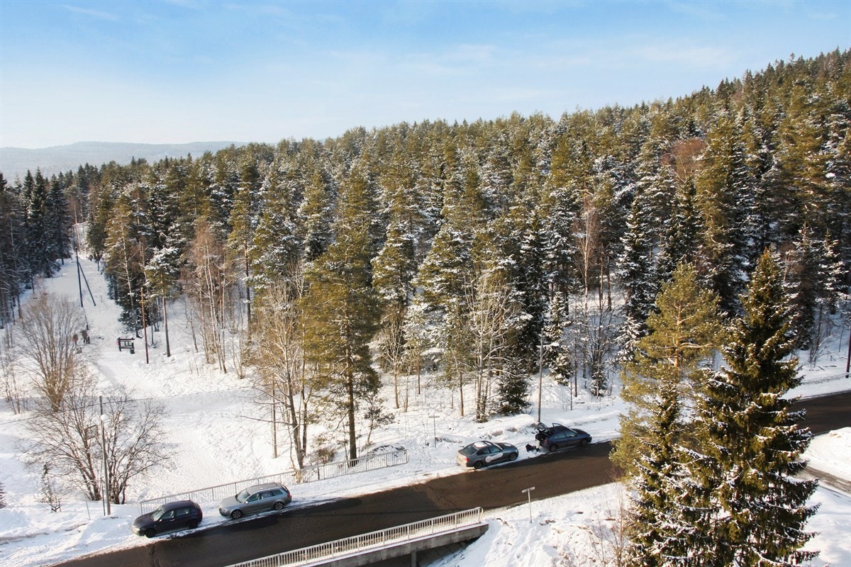 Utsikt fra kjøkken/luftebalkong mot marka Galleribilde