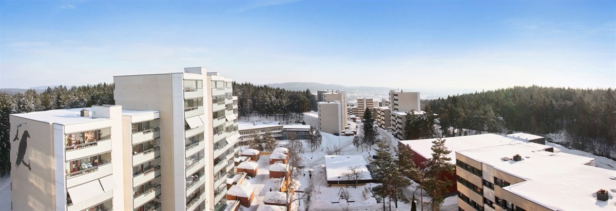 Panoramautsikt Galleribilde