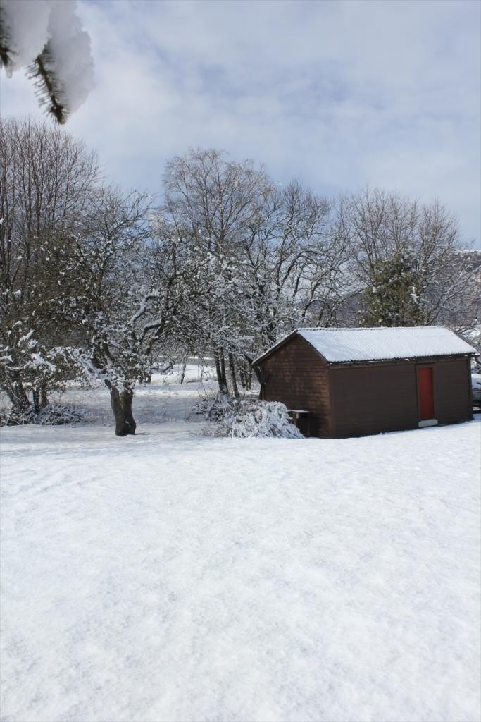 Bilde24 Galleribilde