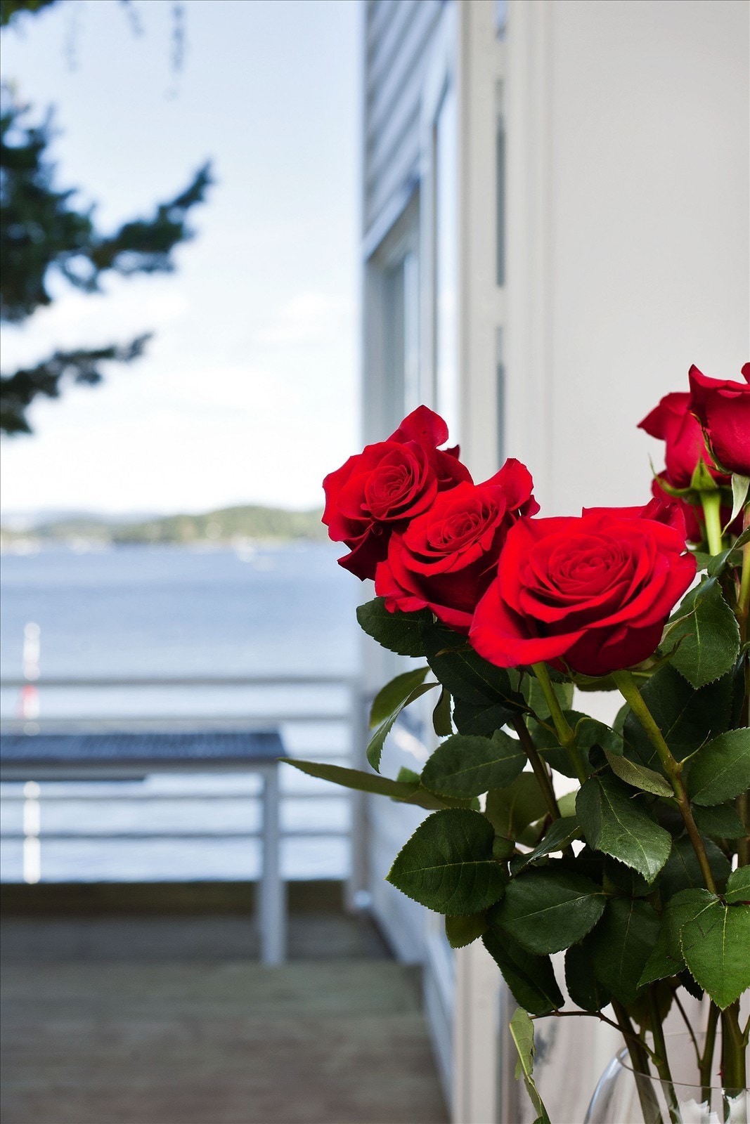 Stemningsbilde... Galleribilde