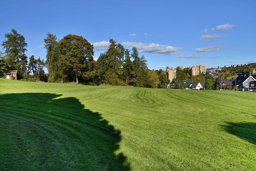 Nærområde Galleribilde