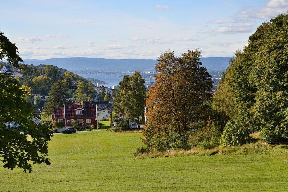 Nærområde Galleribilde