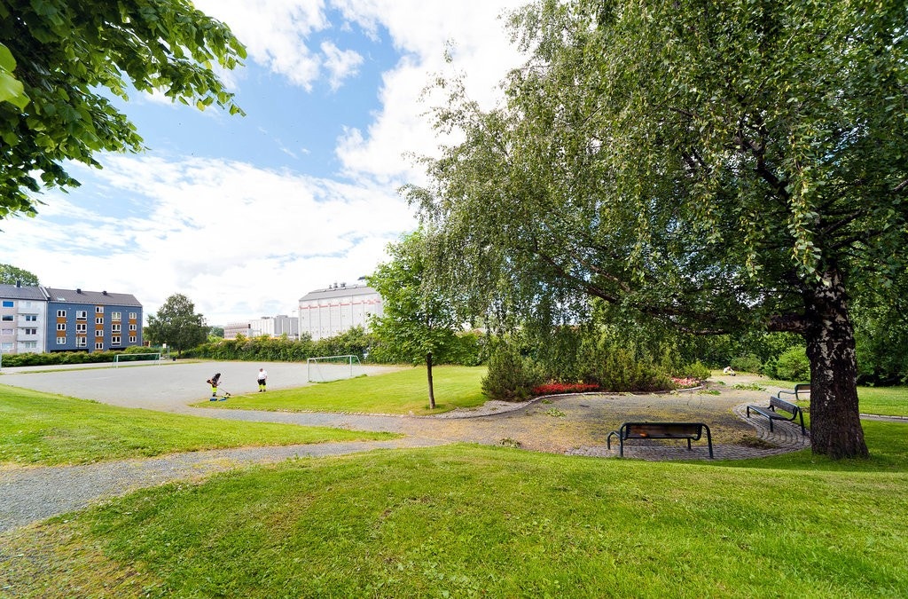 Områdebilde Galleribilde