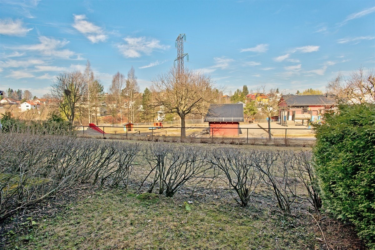 Hagedel fra balkong Galleribilde