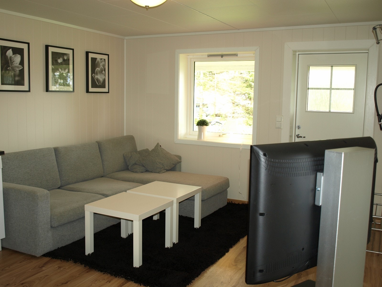 Fellesrom / stue Galleribilde