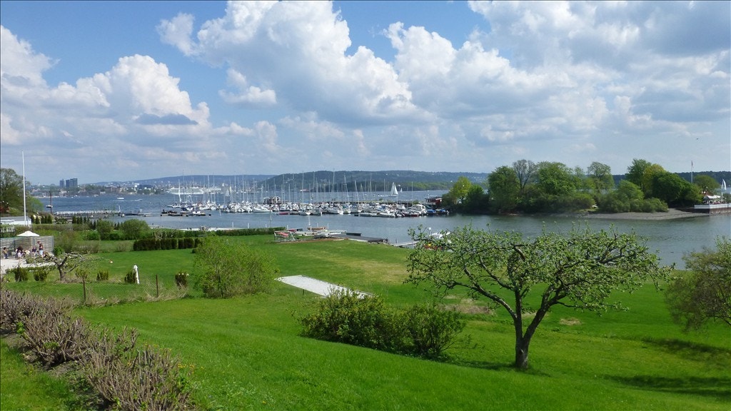 3. Sjelden anledning Galleribilde