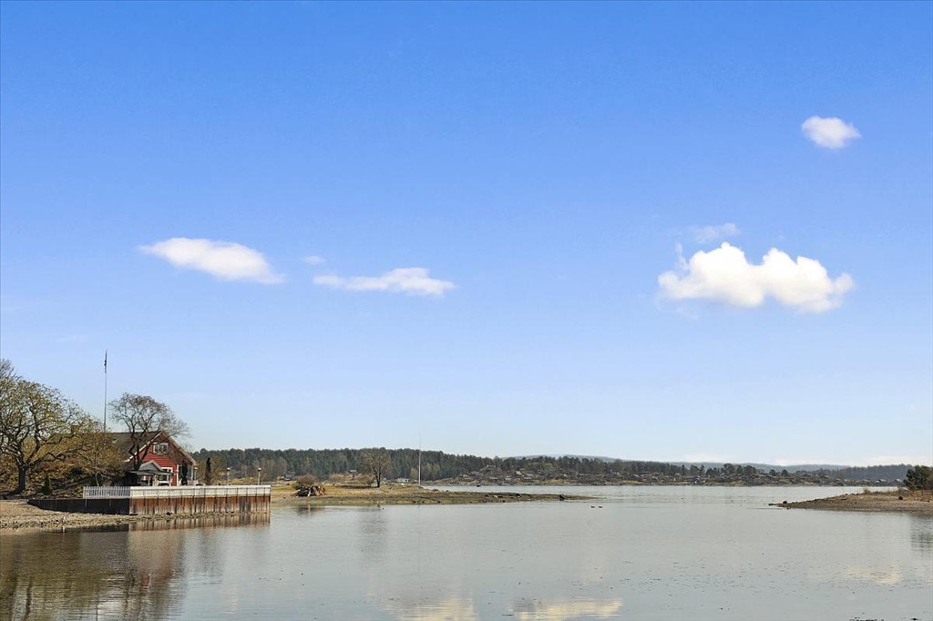 11. Fra eiendommen Galleribilde