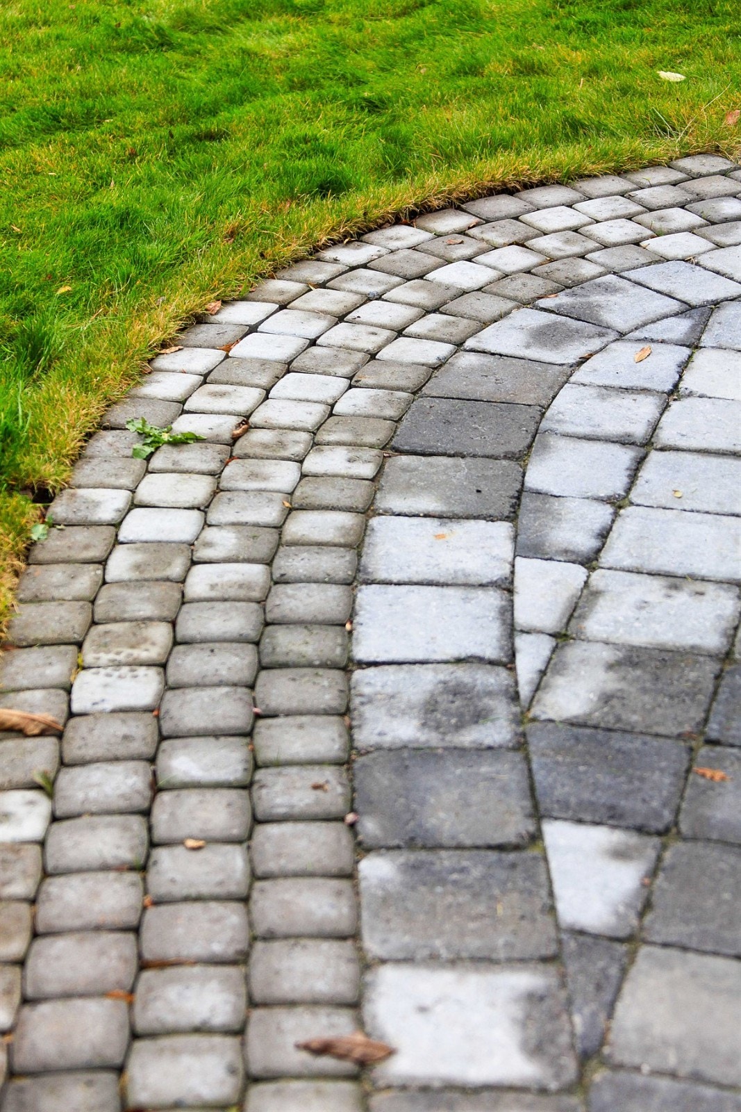 Detail 1 Galleribilde