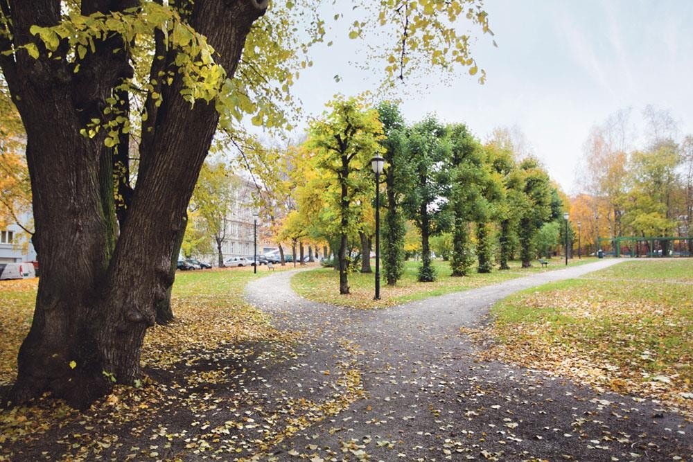 Hallénparken Galleribilde