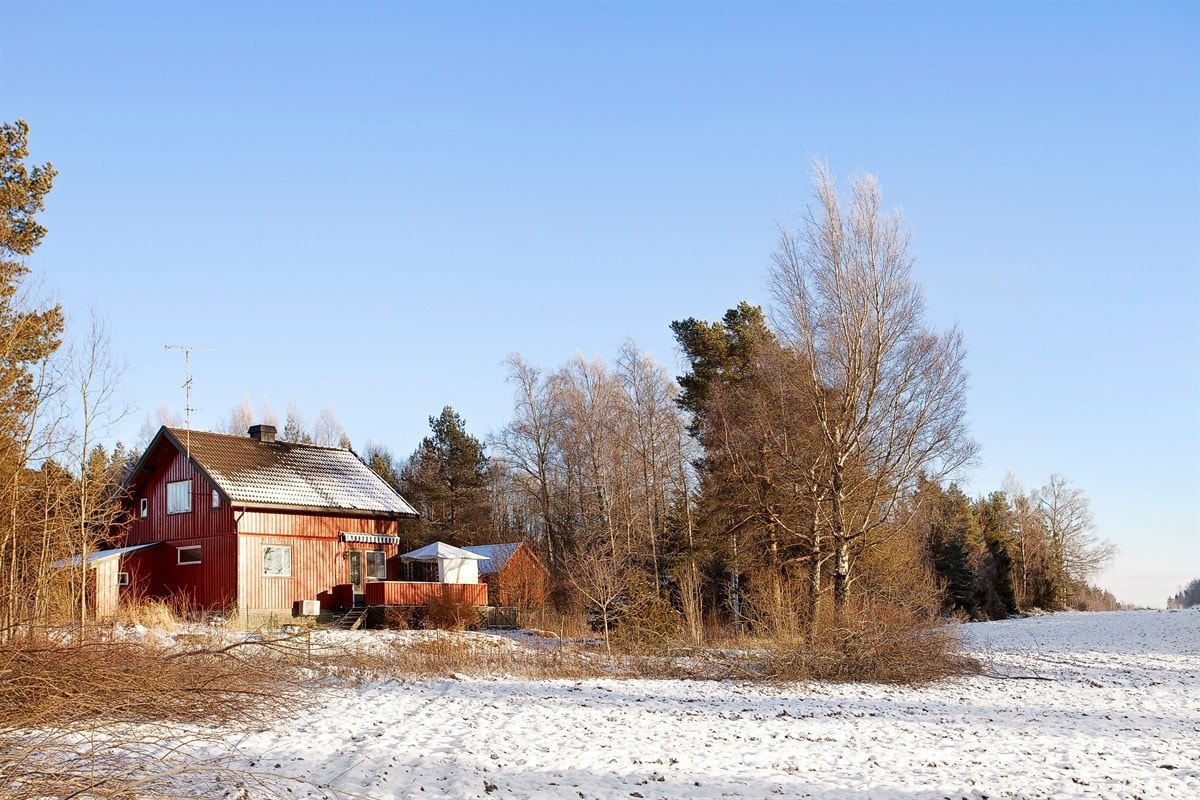 Forside Galleribilde